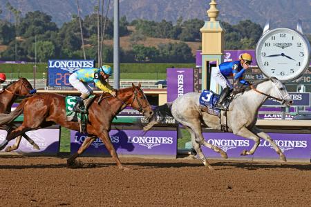 【東京新聞杯】トロヴァトーレが直線叩き合い制しＶ！重賞２勝目
 | やっちまった速報(ピックアップ5)