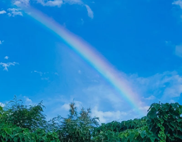 甲子園準優勝の日大三高、女子高生のわいせつ動画が部内で拡散されて児ポで部員２名が書類送検される | やっちまった速報(画像12124828235091_1)