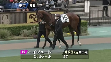 凱旋門賞ラップで馬場検証 重でも「日本なら不良中の不良」2400ｍ２分31秒台 | やっちまった速報(最新記事20)