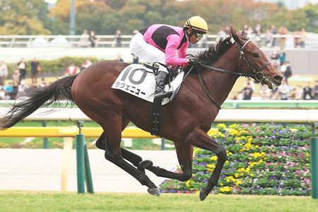 凱旋門賞ラップで馬場検証 重でも「日本なら不良中の不良」2400ｍ２分31秒台 | やっちまった速報(最新記事10)