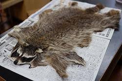 【動画】タヌキ、ついに友達にハグをするｗｗｗｗｗｗｗｗ | 【動画】タヌキ、ついに友達にハグをするｗｗｗｗｗｗｗｗ | 【動画】タヌキ、ついに友達にハグをするｗｗｗｗｗｗｗｗ | 【動画】タヌキ、ついに友達にハグをするｗｗｗｗｗｗｗｗ | 【動画】タヌキ、ついに友達にハグをするｗｗｗｗｗｗｗｗ | 【動画】タヌキ、ついに友達にハグをするｗｗｗｗｗｗｗｗ | 【動画】タヌキ、ついに友達にハグをするｗｗｗｗｗｗｗｗ | 【動画】タヌキ、ついに友達にハグをするｗｗｗｗｗｗｗｗ | やっちまった速報(画像13063832537025_8)