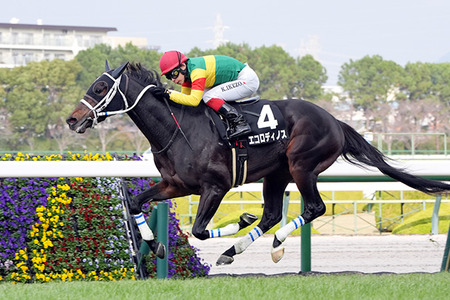 社台スタリオンステーション種牡馬展示会2026
 | やっちまった速報(最新記事3)