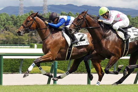【画像】あのエッチ制服のアンナミラーズ、東京・南青山に復活ｗｗｗｗ
 | やっちまった速報(最新記事3)