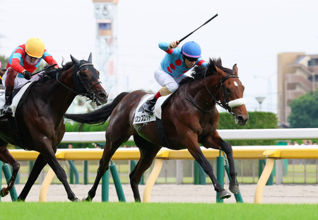 マルハン北日本カンパニーが「あそべる！にゃんまるカフェ」を期間限定オープン！
 | やっちまった速報(最新記事2)