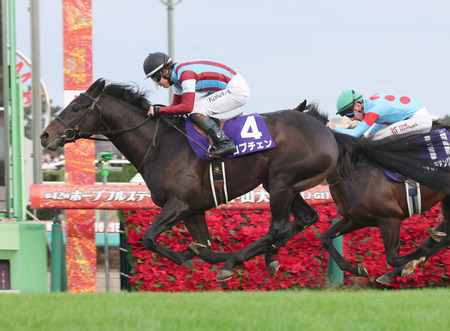 やっちまった速報(最新記事5)