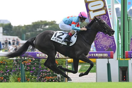 メーカーはもっとオリジナル機を頑張ればいいと思う
 | やっちまった速報(最新記事2)