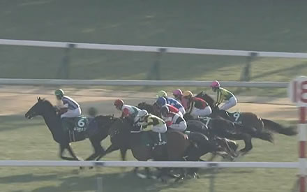 割とガチでフォーエバーヤングはアメリカで種牡馬になりそう
 | やっちまった速報(最新記事2)