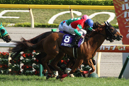 ワイ、パチスロで絶対に勝つ方法を発見してしまう…
 | やっちまった速報(最新記事3)