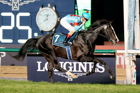 【悲報】高市早苗、都合の悪い公式ブログを突如全削除ｗｗｗｗ
 | やっちまった速報(最新記事3)