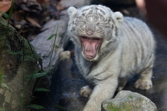 【画像】X民「広告にマジで黒崎一護いるって...」 | 【画像】X民「広告にマジで黒崎一護いるって...」 | 【画像】X民「広告にマジで黒崎一護いるって...」 | 【画像】X民「広告にマジで黒崎一護いるって...」 | 【画像】X民「広告にマジで黒崎一護いるって...」 | 【画像】X民「広告にマジで黒崎一護いるって...」 | 【画像】X民「広告にマジで黒崎一護いるって...」 | 【画像】X民「広告にマジで黒崎一護いるって...」 | 【画像】X民「広告にマジで黒崎一護いるって...」 | 【画像】X民「広告にマジで黒崎一護いるって...」 | 【画像】X民「広告にマジで黒崎一護いるって...」 | 【画像】X民「広告にマジで黒崎一護いるって...」 | 【画像】X民「広告にマジで黒崎一護いるって...」 | 【画像】X民「広告にマジで黒崎一護いるって...」 | 【画像】X民「広告にマジで黒崎一護いるって...」 | 【画像】X民「広告にマジで黒崎一護いるって...」 | 【画像】X民「広告にマジで黒崎一護いるって...」 | 【画像】X民「広告にマジで黒崎一護いるって...」 | 【画像】X民「広告にマジで黒崎一護いるって...」 | 【画像】X民「広告にマジで黒崎一護いるって...」 | 【画像】X民「広告にマジで黒崎一護いるって...」 | 【画像】X民「広告にマジで黒崎一護いるって...」 | やっちまった速報(画像19103848507223_22)
