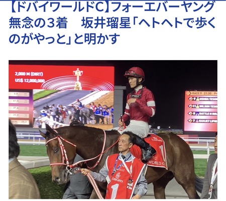 フォーエバーヤングはドバイで勝てない!? | フォーエバーヤングはドバイで勝てない!? | フォーエバーヤングはドバイで勝てない!? | やっちまった速報(画像19111825842933_3) フォーエバーヤングはドバイで勝てない!? | フォーエバーヤングはドバイで勝てない!? | フォーエバーヤングはドバイで勝てない!? | やっちまった速報(画像19111825842933_3)