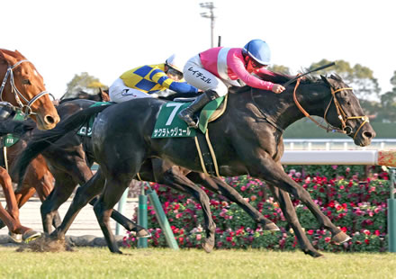 カーリング協会「次の五輪は4年間の成績で代表を決めます」2030年五輪で巻き返しへ
 | やっちまった速報(ピックアップ8)