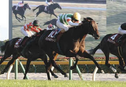 やっちまった速報(最新記事6)