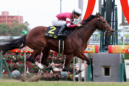 チュドカク野田「ガチンコで負けた実感ないわ」泉健太「なーに言ってんだお前ｗ」
 | やっちまった速報(最新記事2)