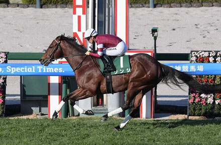 ビビる大木「赤ちゃん連れて飛行機乗ってたら知らない婆から『泣かなくて偉かったね』と言われてモヤッとした」
 | やっちまった速報(最新記事2)