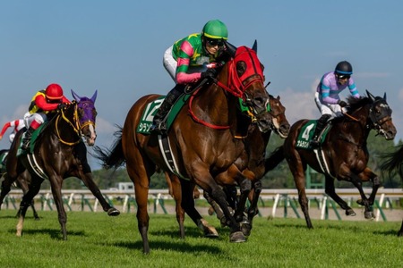 【画像】アメリカ政府が把握した「地球外生命体一覧」が公開されるｗｗｗｗ
 | やっちまった速報(最新記事1)