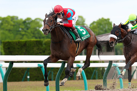 【画像】男さん「友達が流氷に乗って流されたｗ助けてｗ」 消防「は？（ガチギレ）」
 | やっちまった速報(最新記事3)