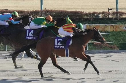 【画像】大阪マラソン、トップを走る選手の様子がヤバすぎて茶の間が凍りつく・・・・・
 | やっちまった速報(最新記事2)
