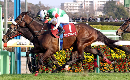 K-POP、さすがにオワコンになってしまうｗｗｗ
 | やっちまった速報(最新記事1)