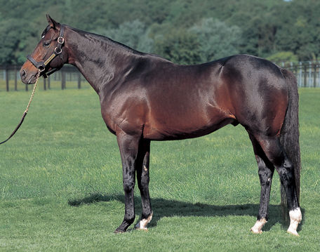 X民「King Gnuのライブで周りの客も歌うのがイヤってヤツには注意させていただきます」
 | やっちまった速報(最新記事1)