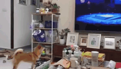 【悲報】JOC「ミラノ大会はよかったよな！自国開催を目指そうなッ！ﾆｯｺﾘ」←東京オリンピックも大成功だった事にｗｗｗ | 【悲報】JOC「ミラノ大会はよかったよな！自国開催を目指そうなッ！ﾆｯｺﾘ」←東京オリンピックも大成功だった事にｗｗｗ | 【悲報】JOC「ミラノ大会はよかったよな！自国開催を目指そうなッ！ﾆｯｺﾘ」←東京オリンピックも大成功だった事にｗｗｗ | 【悲報】JOC「ミラノ大会はよかったよな！自国開催を目指そうなッ！ﾆｯｺﾘ」←東京オリンピックも大成功だった事にｗｗｗ | 【悲報】JOC「ミラノ大会はよかったよな！自国開催を目指そうなッ！ﾆｯｺﾘ」←東京オリンピックも大成功だった事にｗｗｗ | やっちまった速報(画像24091544654968_5)