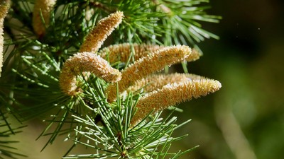 【画像】最近の小6女子さん、発育がとんでもないレベルに到達してしまうwwwwww
 | やっちまった速報(ピックアップ6)