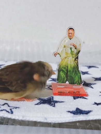 【疑問】「アクリルスタンド」とかいうぼったくりグッズ買ってるやつｗｗｗｗｗ | 【疑問】「アクリルスタンド」とかいうぼったくりグッズ買ってるやつｗｗｗｗｗ | 【疑問】「アクリルスタンド」とかいうぼったくりグッズ買ってるやつｗｗｗｗｗ | 【疑問】「アクリルスタンド」とかいうぼったくりグッズ買ってるやつｗｗｗｗｗ | 【疑問】「アクリルスタンド」とかいうぼったくりグッズ買ってるやつｗｗｗｗｗ | 【疑問】「アクリルスタンド」とかいうぼったくりグッズ買ってるやつｗｗｗｗｗ | 【疑問】「アクリルスタンド」とかいうぼったくりグッズ買ってるやつｗｗｗｗｗ | 【疑問】「アクリルスタンド」とかいうぼったくりグッズ買ってるやつｗｗｗｗｗ | 【疑問】「アクリルスタンド」とかいうぼったくりグッズ買ってるやつｗｗｗｗｗ | 【疑問】「アクリルスタンド」とかいうぼったくりグッズ買ってるやつｗｗｗｗｗ | 【疑問】「アクリルスタンド」とかいうぼったくりグッズ買ってるやつｗｗｗｗｗ | 【疑問】「アクリルスタンド」とかいうぼったくりグッズ買ってるやつｗｗｗｗｗ | 【疑問】「アクリルスタンド」とかいうぼったくりグッズ買ってるやつｗｗｗｗｗ | 【疑問】「アクリルスタンド」とかいうぼったくりグッズ買ってるやつｗｗｗｗｗ | 【疑問】「アクリルスタンド」とかいうぼったくりグッズ買ってるやつｗｗｗｗｗ | 【疑問】「アクリルスタンド」とかいうぼったくりグッズ買ってるやつｗｗｗｗｗ | 【疑問】「アクリルスタンド」とかいうぼったくりグッズ買ってるやつｗｗｗｗｗ | やっちまった速報(画像26090533957986_17)