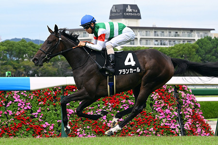 レース数絞って厚めにズドンが良いのか?それとも何レースもやって手広く買った方がいいのか?
 | やっちまった速報(ピックアップ1)