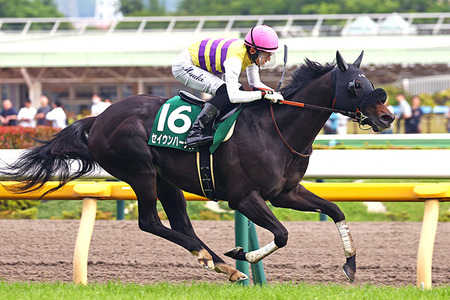 やっちまった速報(最新記事18)