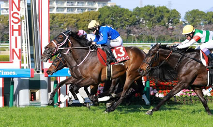 【悲報】CoCo壱番屋、値上げ後の客足がガチでヤバい…
 | やっちまった速報(最新記事1)