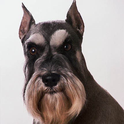 やっちまった速報(最新記事2)