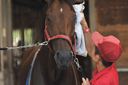 【競馬予想】[2]第33回チューリップ賞(GⅡ) /2026
 | やっちまった速報(最新記事4)