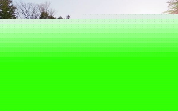 やっちまった速報(最新記事17)