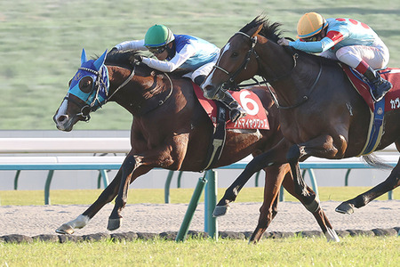 やっちまった速報(最新記事10)