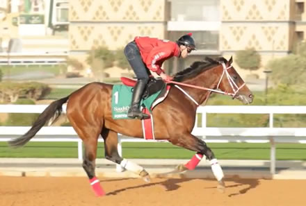 【朗報】ドンキの会社、おにぎり１個８５円で売る食品特価のスーパーを発表
 | やっちまった速報(最新記事2)