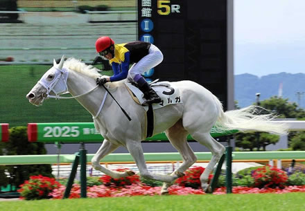 【新台】サミー「e甲鉄城のカバネリ2 咲かせや燦然」公式の試打動画が公開！スロパチ・れんじろうが最速実践！
 | やっちまった速報(最新記事1)