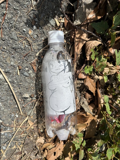 【画像】静岡で「ドスケベバンクシー」が突如現れ社会問題になってしまうｗｗｗ | 【画像】静岡で「ドスケベバンクシー」が突如現れ社会問題になってしまうｗｗｗ | 【画像】静岡で「ドスケベバンクシー」が突如現れ社会問題になってしまうｗｗｗ | やっちまった速報(画像05215454448449_3)