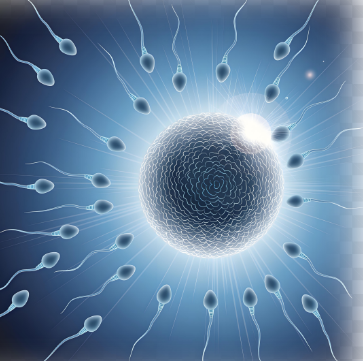 フォーエバーヤングの勝ちっぷりに否定的なヤツ | やっちまった速報(最新記事2)