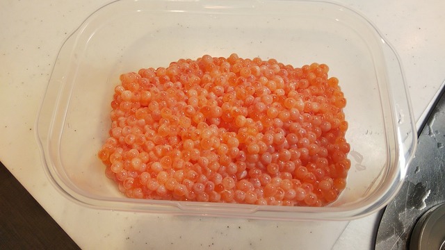 【画像】セブンイレブン、すじこおにぎりからすじこを無くすことに成功するｗｗｗｗｗｗ | 【画像】セブンイレブン、すじこおにぎりからすじこを無くすことに成功するｗｗｗｗｗｗ | 【画像】セブンイレブン、すじこおにぎりからすじこを無くすことに成功するｗｗｗｗｗｗ | 【画像】セブンイレブン、すじこおにぎりからすじこを無くすことに成功するｗｗｗｗｗｗ | 【画像】セブンイレブン、すじこおにぎりからすじこを無くすことに成功するｗｗｗｗｗｗ | 【画像】セブンイレブン、すじこおにぎりからすじこを無くすことに成功するｗｗｗｗｗｗ | 【画像】セブンイレブン、すじこおにぎりからすじこを無くすことに成功するｗｗｗｗｗｗ | やっちまった速報(画像07192217602463_7)