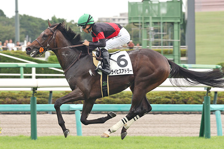 なぜ近年のジャンプ作品はパチンコ化しないのか？鬼滅・呪術・チェンソーマン…
 | やっちまった速報(最新記事3)