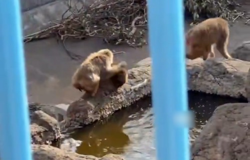 【悲報】チュドカク安住淳、身内からボロクソに批判されまくってしまうｗｗｗｗｗｗ
 | やっちまった速報(最新記事1)