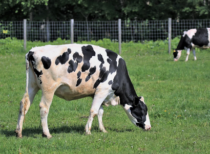 【画像】キャンプの王「スノーピーク」、ついに終わる・・・・・・・
 | やっちまった速報(最新記事2)