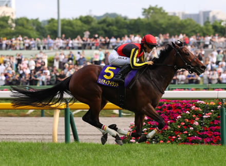 パチンコってつまらなくね
 | やっちまった速報(最新記事2)