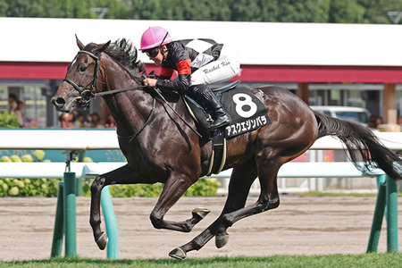 パチンコ・パチスロファンアンケート調査2025が公開！新規層がわずかに増加！
 | やっちまった速報(ピックアップ6)