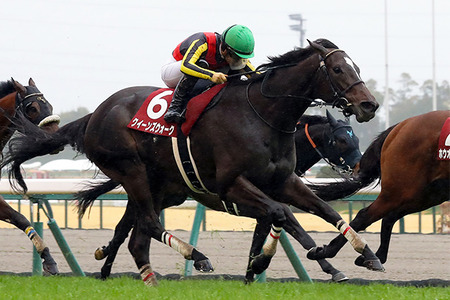 【動画】チビ女さん、暴力でホストを一方的に追い詰めてしまう・・・・・
 | やっちまった速報(ピックアップ3)