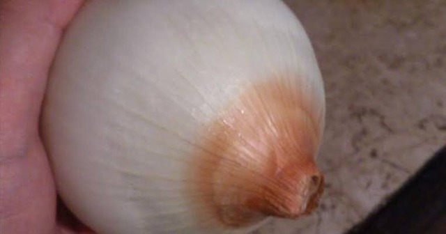 【画像】エックスさん、外人ち●ぽが6万いいねを集めて無事終わるｗｗｗｗｗｗｗ | 【画像】エックスさん、外人ち●ぽが6万いいねを集めて無事終わるｗｗｗｗｗｗｗ | 【画像】エックスさん、外人ち●ぽが6万いいねを集めて無事終わるｗｗｗｗｗｗｗ | 【画像】エックスさん、外人ち●ぽが6万いいねを集めて無事終わるｗｗｗｗｗｗｗ | 【画像】エックスさん、外人ち●ぽが6万いいねを集めて無事終わるｗｗｗｗｗｗｗ | 【画像】エックスさん、外人ち●ぽが6万いいねを集めて無事終わるｗｗｗｗｗｗｗ | 【画像】エックスさん、外人ち●ぽが6万いいねを集めて無事終わるｗｗｗｗｗｗｗ | 【画像】エックスさん、外人ち●ぽが6万いいねを集めて無事終わるｗｗｗｗｗｗｗ | 【画像】エックスさん、外人ち●ぽが6万いいねを集めて無事終わるｗｗｗｗｗｗｗ | やっちまった速報(画像15234849175445_9)