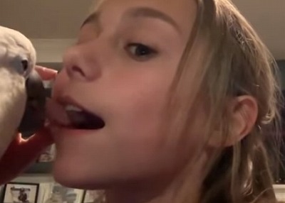 【画像】オウムさん、幼女の歯を抜いてしまう・・・・ | やっちまった速報(画像16064847181563_1)