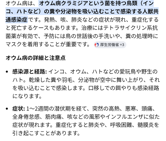 【画像】オウムさん、幼女の歯を抜いてしまう・・・・ | 【画像】オウムさん、幼女の歯を抜いてしまう・・・・ | やっちまった速報(画像16064847711235_2)