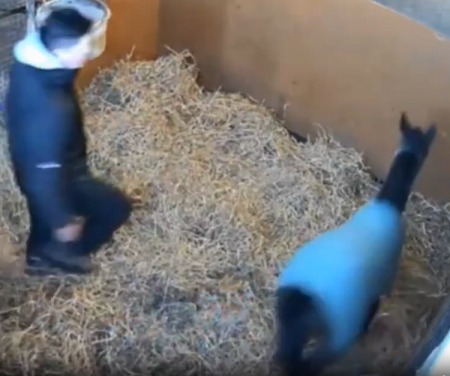 やっちまった速報(ピックアップ1)