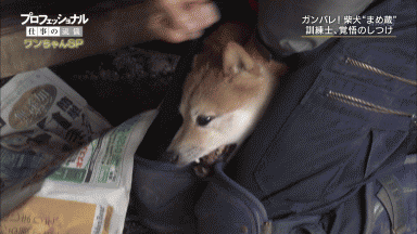 【胸糞注意】とある牧場の仔馬への“躾”がヤバすぎて国内外で大炎上中ｗｗｗｗｗ | 【胸糞注意】とある牧場の仔馬への“躾”がヤバすぎて国内外で大炎上中ｗｗｗｗｗ | 【胸糞注意】とある牧場の仔馬への“躾”がヤバすぎて国内外で大炎上中ｗｗｗｗｗ | 【胸糞注意】とある牧場の仔馬への“躾”がヤバすぎて国内外で大炎上中ｗｗｗｗｗ | 【胸糞注意】とある牧場の仔馬への“躾”がヤバすぎて国内外で大炎上中ｗｗｗｗｗ | 【胸糞注意】とある牧場の仔馬への“躾”がヤバすぎて国内外で大炎上中ｗｗｗｗｗ | 【胸糞注意】とある牧場の仔馬への“躾”がヤバすぎて国内外で大炎上中ｗｗｗｗｗ | 【胸糞注意】とある牧場の仔馬への“躾”がヤバすぎて国内外で大炎上中ｗｗｗｗｗ | やっちまった速報(画像16124851535706_8)